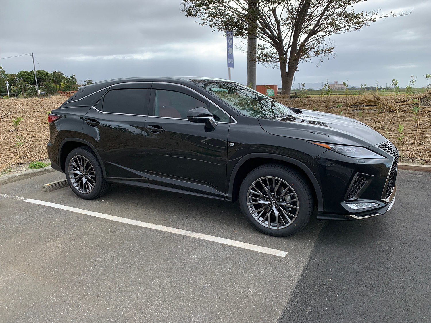 RX300 FSPORT