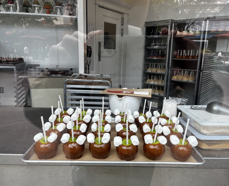 子連れでダウンタウンディズニー