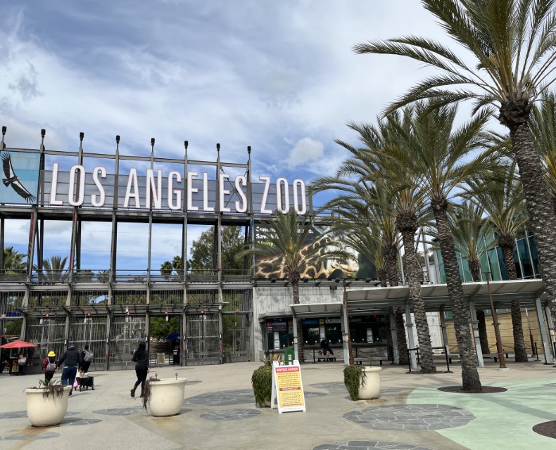 子連れでロサンゼルス動物園(グリフィスパーク内にあるロサンゼルスの動物園)
