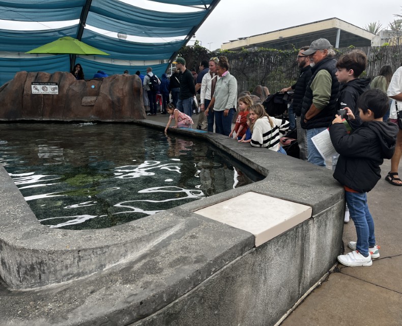 アクアリウム・オブ・ザ・パシフィック(ロングビーチの水族館)
