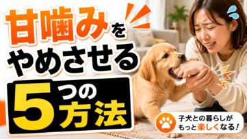 犬の甘噛みを直す5つの方法を子犬・成犬別に詳しく解説。原因・NG行動・おすすめグッズ・犬種別のポイントまで網羅。今日からできる具体的な対策を紹介します。