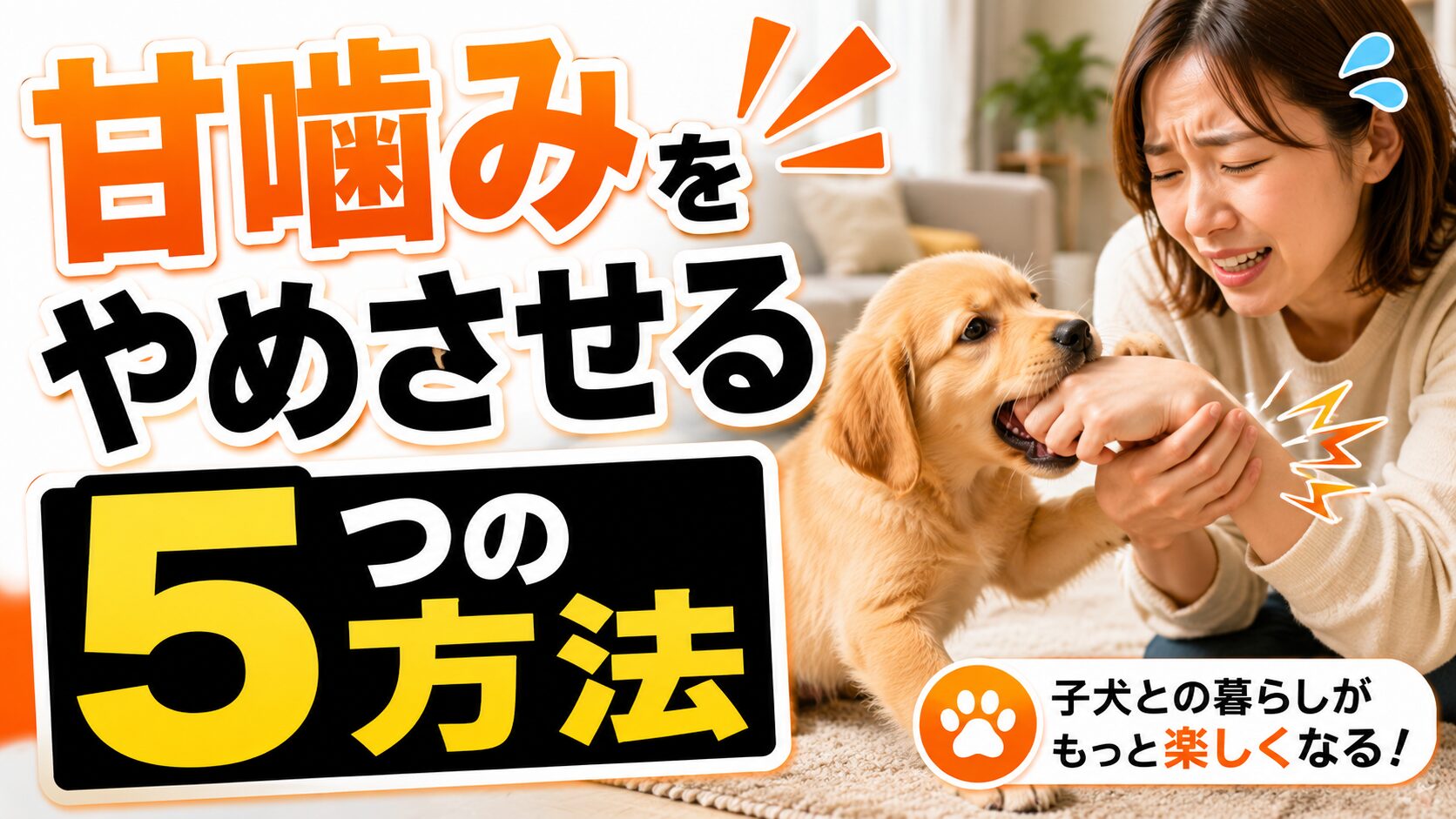 飼い主の手を甘噛みする子犬とやめさせる方法