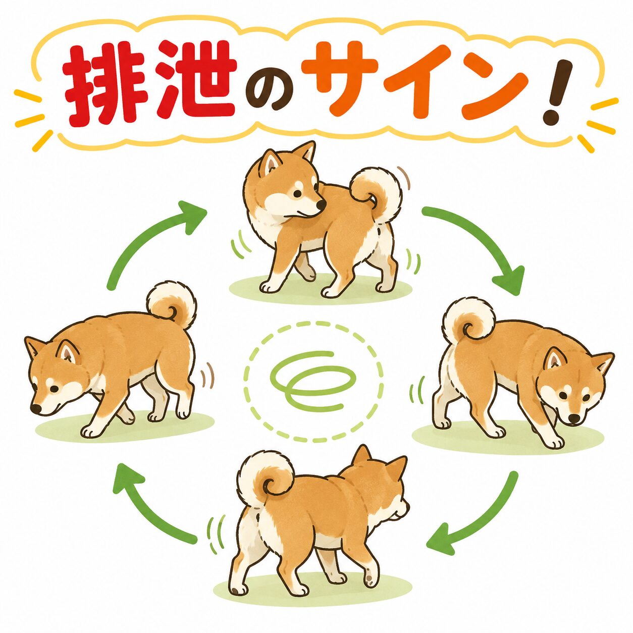 犬がトイレ前に見せるくるくる回る排泄サインの解説