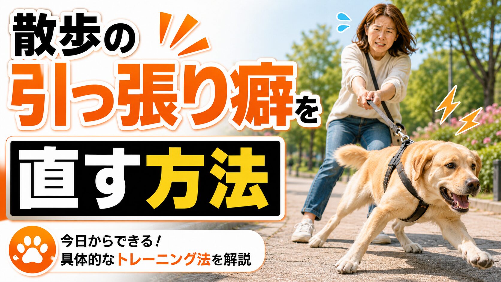 散歩でリードを引っ張る犬と引きずられる飼い主