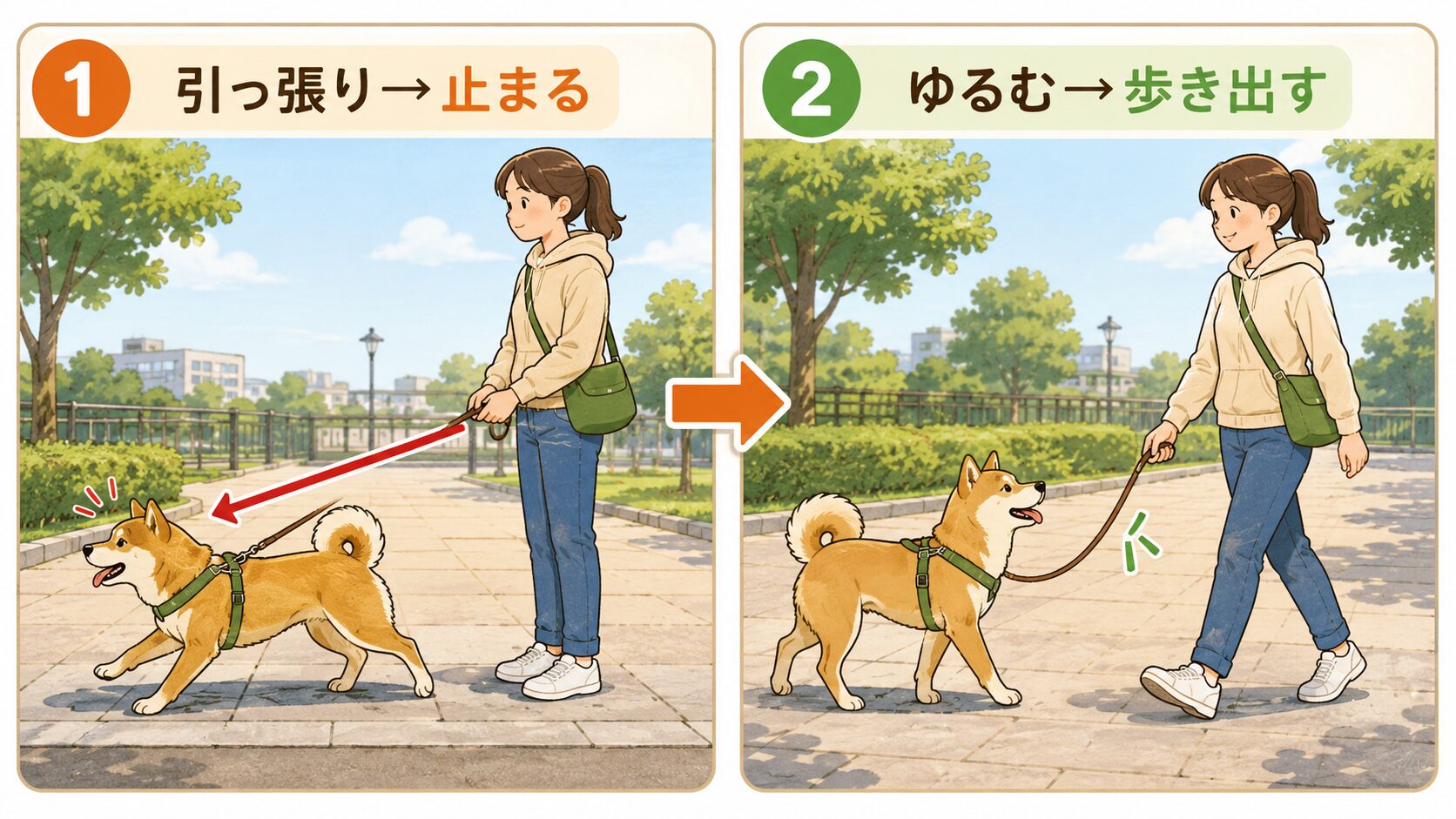 散歩の引っ張り癖を直す立ち止まり法のトレーニング手順図