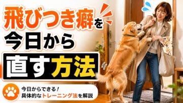 犬の飛びつき癖を帰宅時・来客時・外出先別に解説。やってはいけないNG対応と今日から実践できる正しいしつけ方を詳しく紹介します。