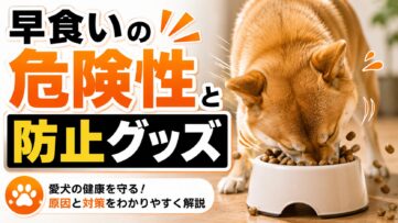 犬の早食いは胃拡張や嘔吐のリスクがある危険な習慣。早食い防止食器・パズルフィーダーなどのグッズと食事環境の改善方法、犬種別リスクまで詳しく解説します。