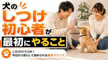 犬のしつけ初心者向けに最初に教えるべき基本コマンド・優先順位・よくある失敗と対策を解説。子犬からシニア犬まで使える基本を網羅します。