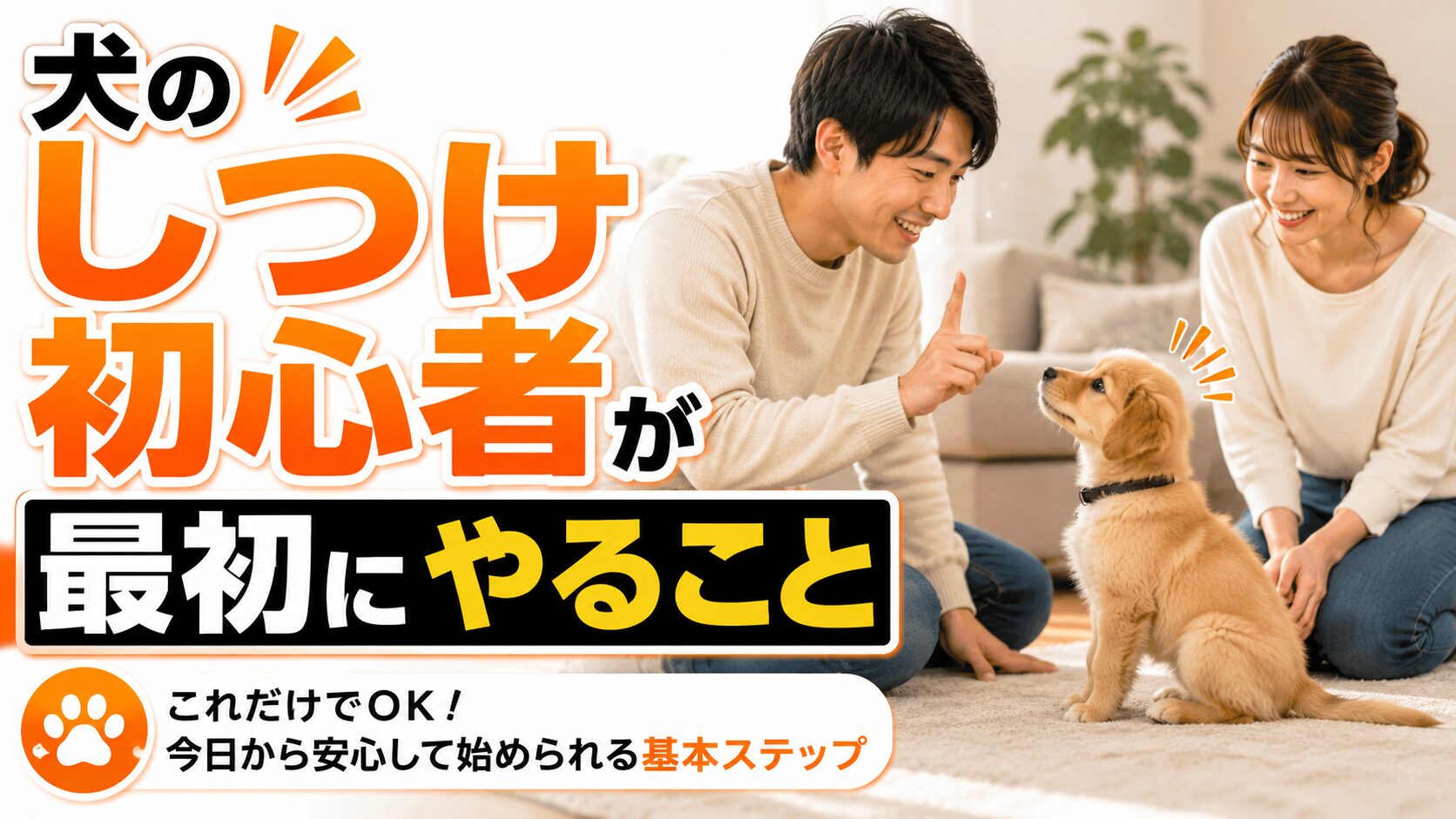 犬のしつけ初心者がおすわりを教えているトレーニングシーン