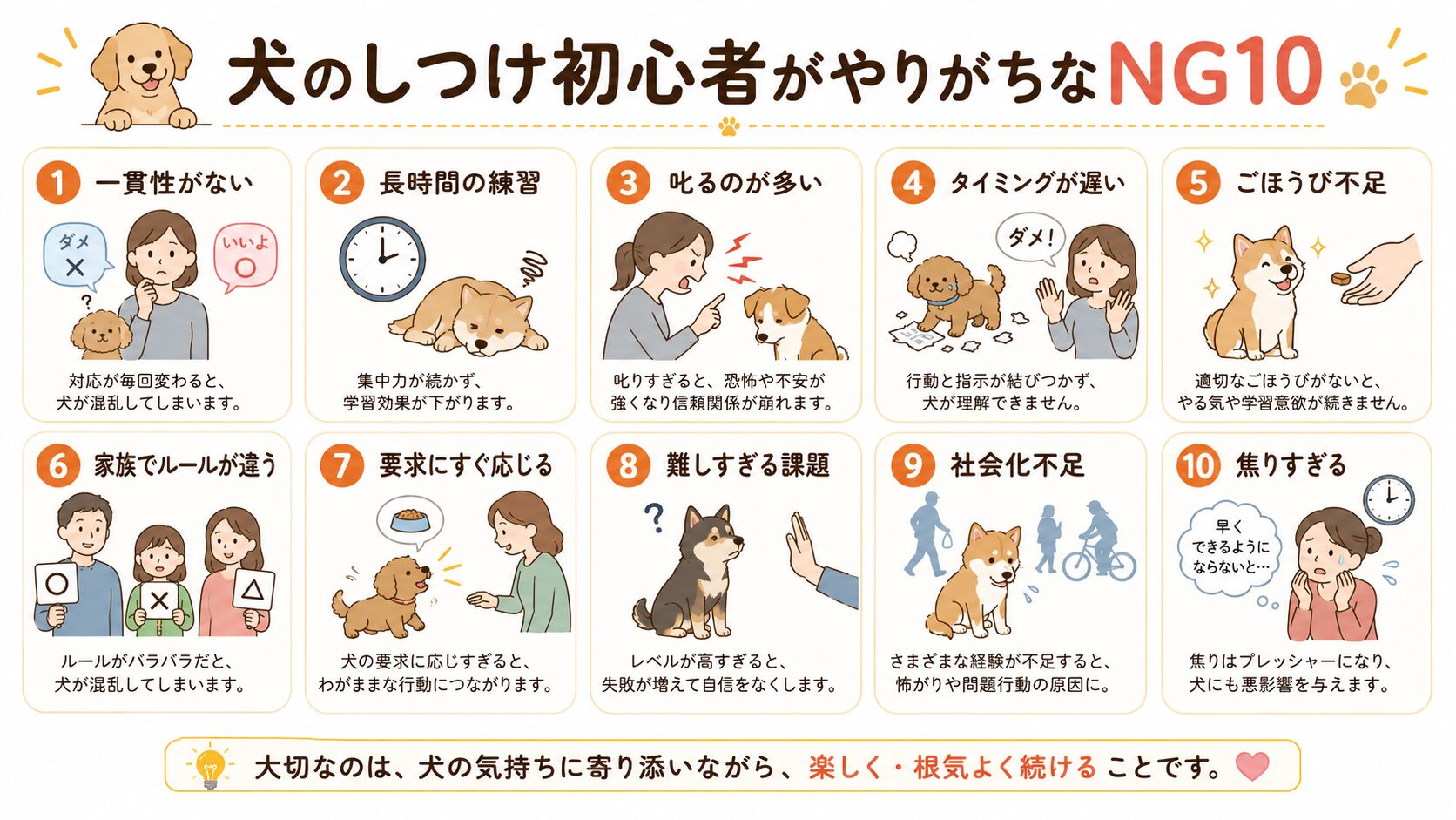 犬のしつけ初心者がやりがちな失敗10選のまとめ図解