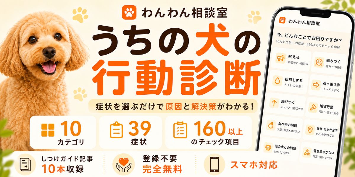 犬のしつけ診断アプリ「わんわん相談室」無料で使える行動チェック